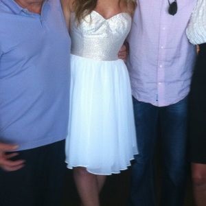 Erin fetherston champagne corset dress tulle skirt